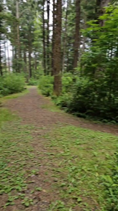 Would you keep walking behind me? 🤔 https://t.co/jGIq1pj4LL