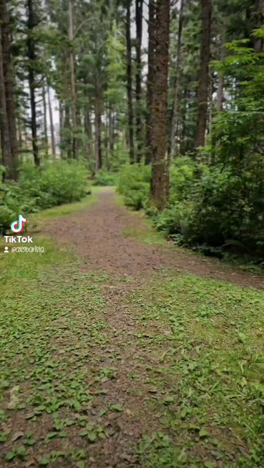 Would you keep walking behind me? 👀 https://t.co/XO9Zp9U5wg