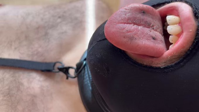 #ashtray 😵🚬😶&zwj;🌫️ #slave  #bdsm https://t.co/a7C7xvYiPy<a href="/tag/ashtray"class="tags">#ashtray</a><a href="/tag/slave"class="tags">#slave</a><a href="/tag/bdsm"class="tags">#bdsm</a>