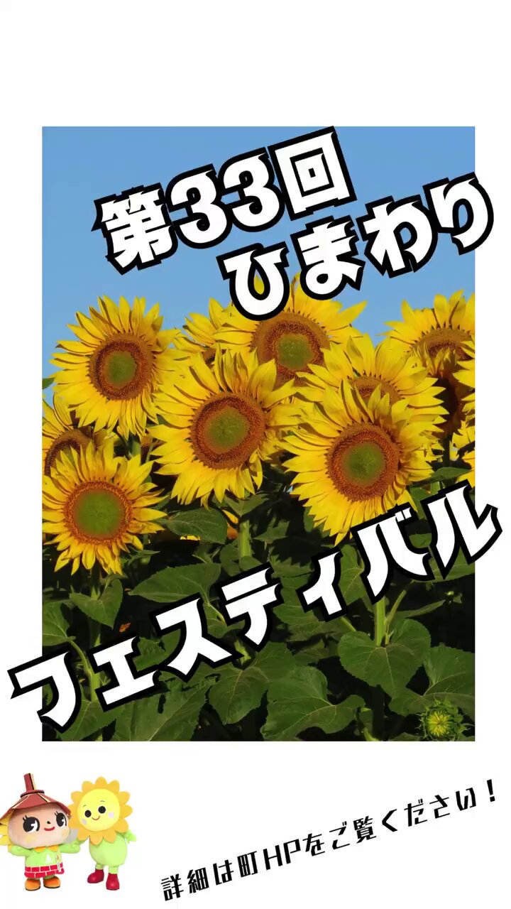 ひまわり様 よろしくお願いいたします 楽天市場】ひまわり アレンジメント 本数 価格で選べるサイズ