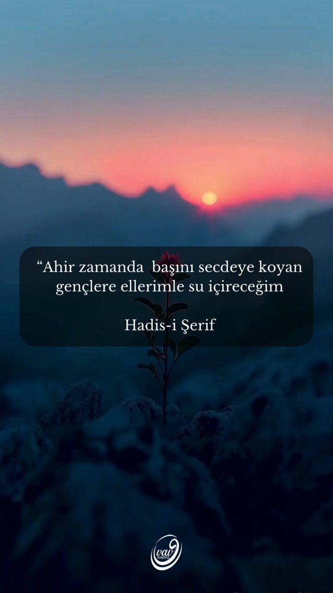 Elena Berkova mashhurlar bilan jinsiy aloqa