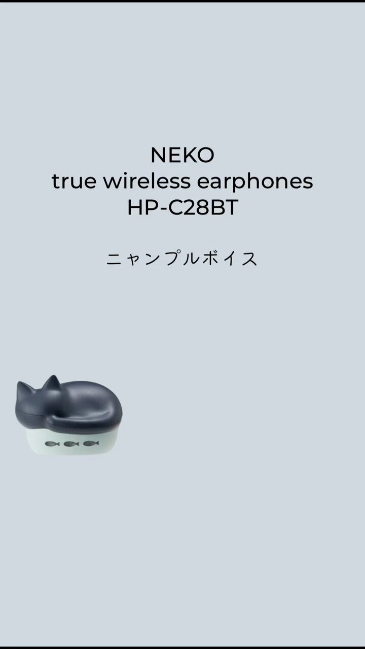 ラディウス radius HP-C28BT 完全ワイヤレスイヤホン 待つ