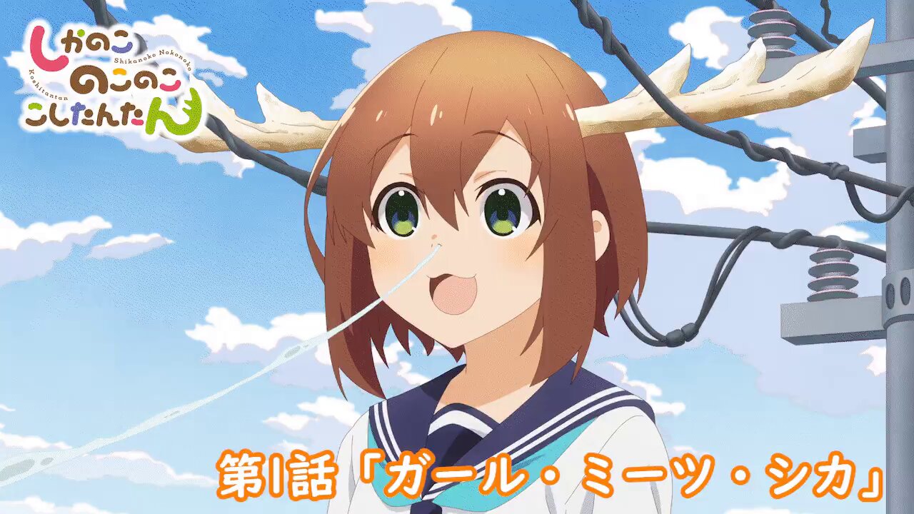 Reバース 002PP のこたん しかのこのこのここしたんたん アニメ「しかのこのこのここしたんたん」公式サイト