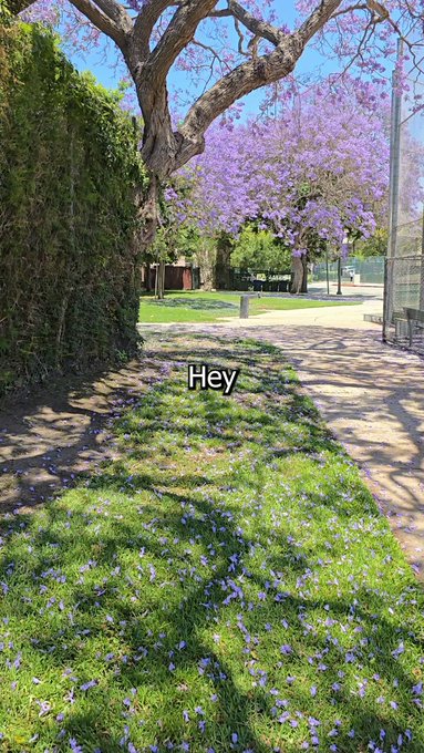 POV: A pokemon trainer reallllly wants to get your attention https://t.co/Mx4wsbDp0W