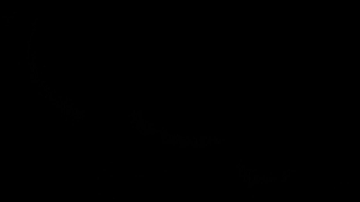 Twitter Image