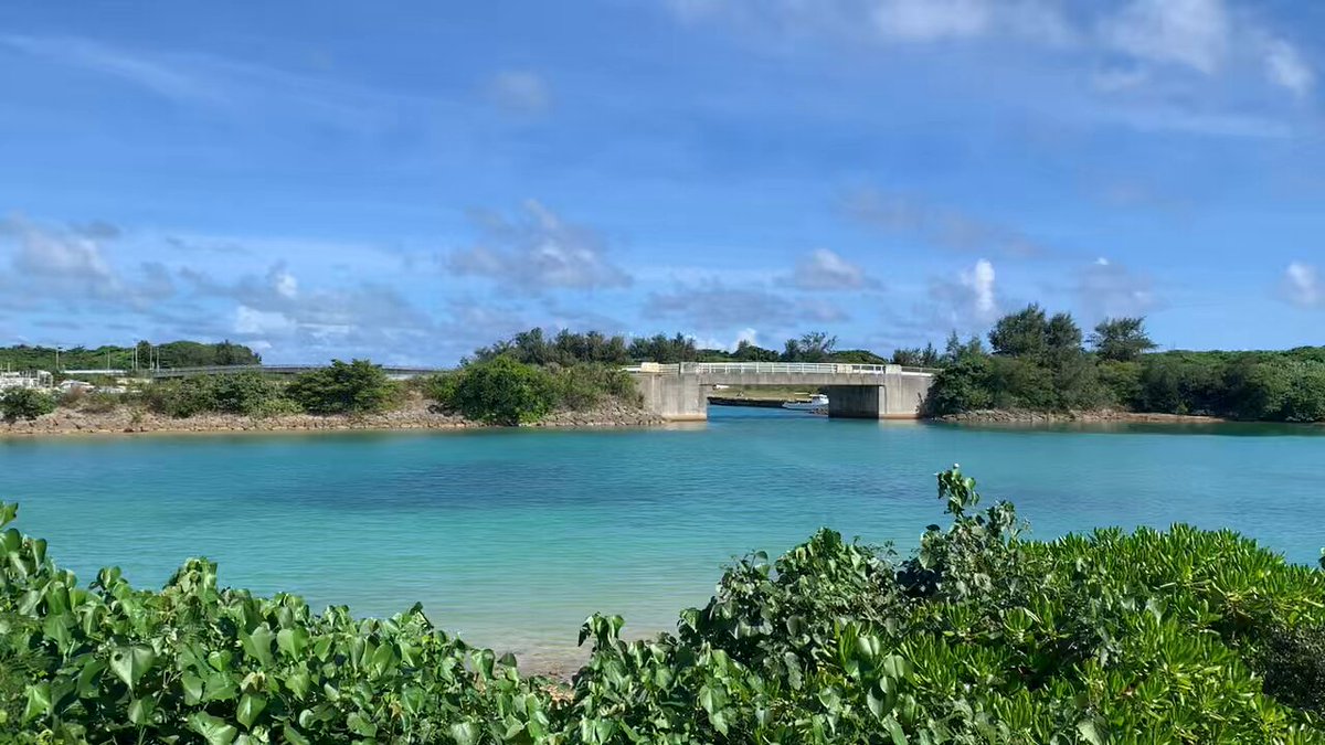 宮古島でその日暮らし (@MK_freedomlife) / X