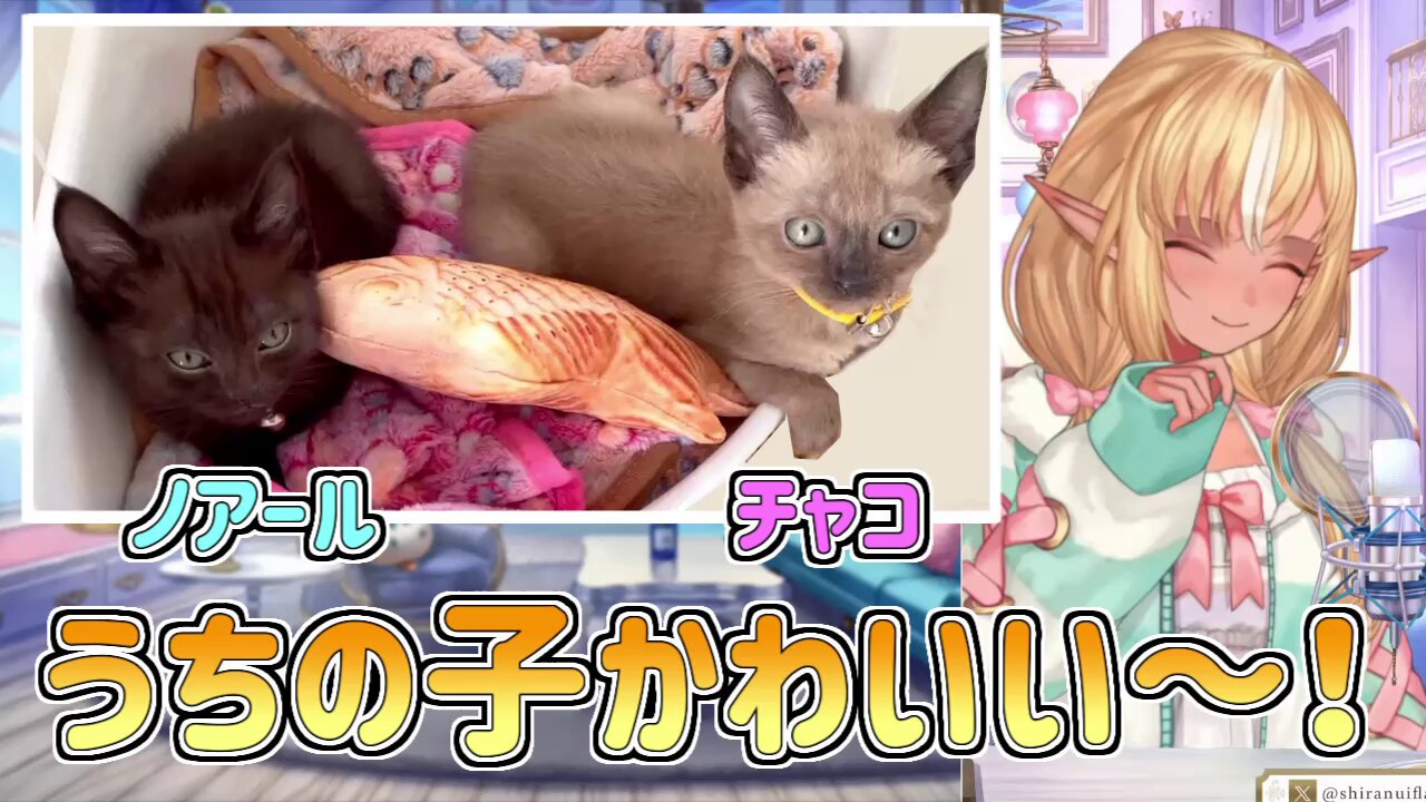 音符様2点おまとめ⚫️防火・火の用心2wayバッグ＋リアル猫ちゃん 楽天市場】【36%引き】 人感センサーライト 防犯ライト ランタン