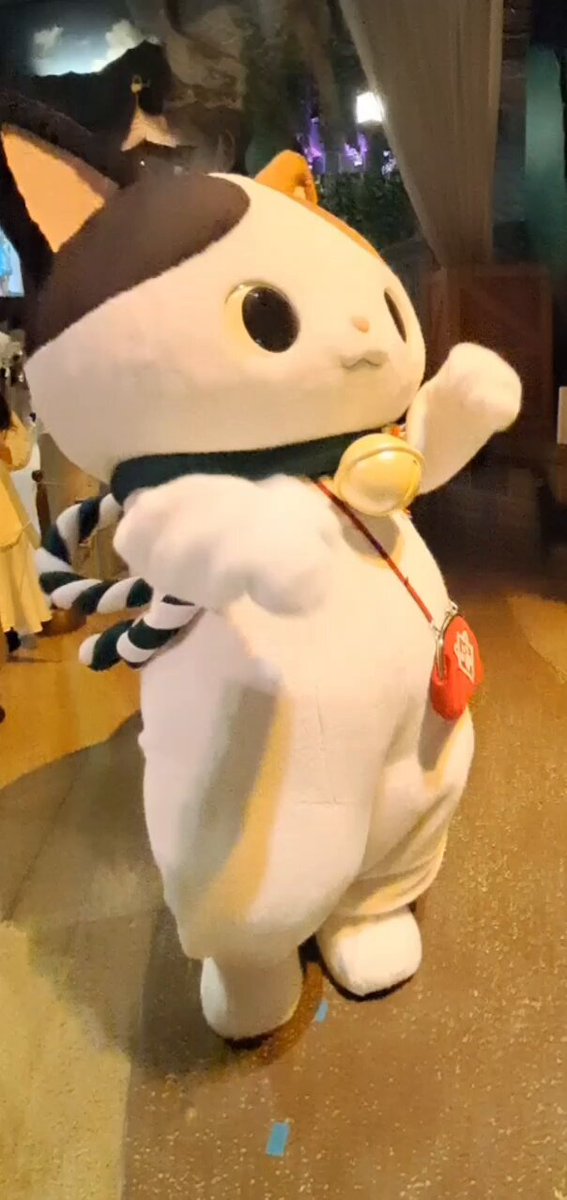 にゃんたろうです。ありがとうございます(^^) かぶきにゃんたろう - অনুসন্ধান / X