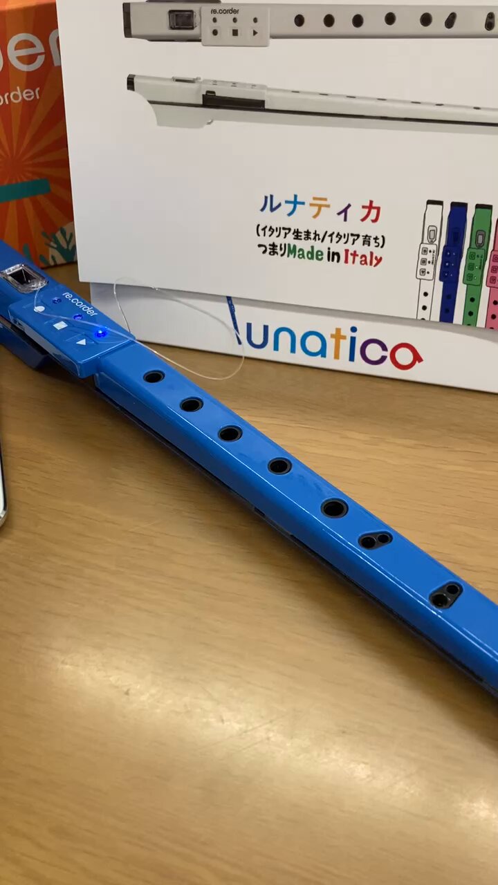 公式】lunatica re.corder made in italy by ARTinoise 公式】lunatica re.corder made in italy by ARTinoise