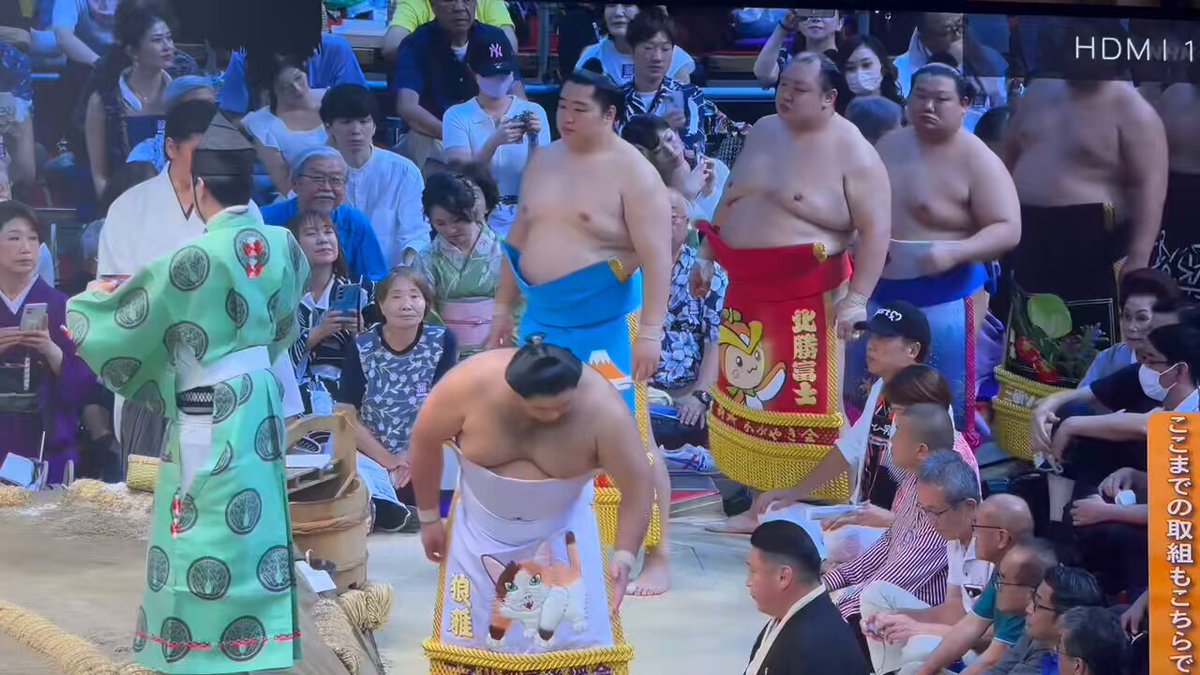 相撲 遠藤関 反物 甚平 2025年最新】相撲 遠藤 反物の人気アイテム - メルカリ