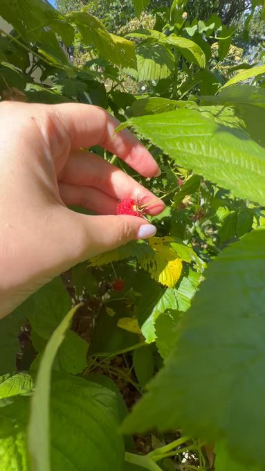 When everything reminds of him&hellip; 😅 https://t.co/yzIgGOJd1J<a href="/tag/summer"class="tags"><span>#summer</span></a>