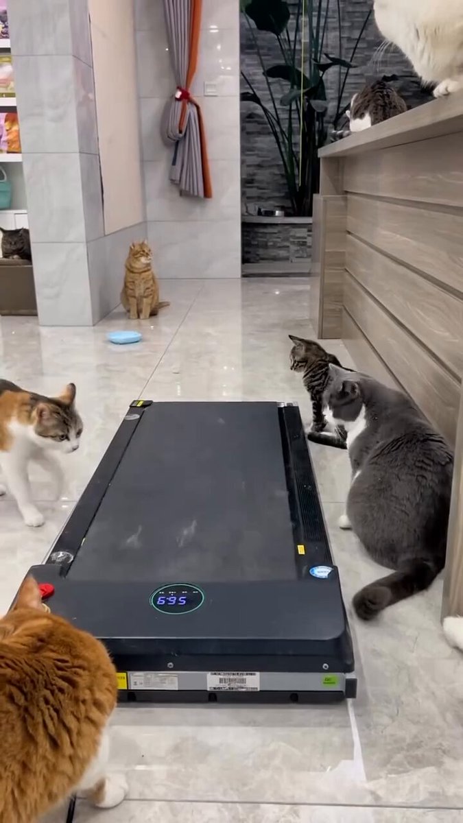 besties