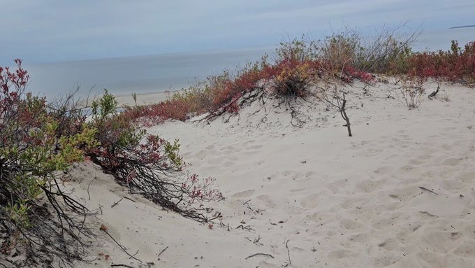 Can i suck your cock in public like this? https://t.co/xcfWLFnJeF