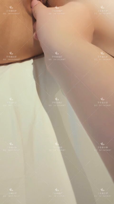 媒体预览