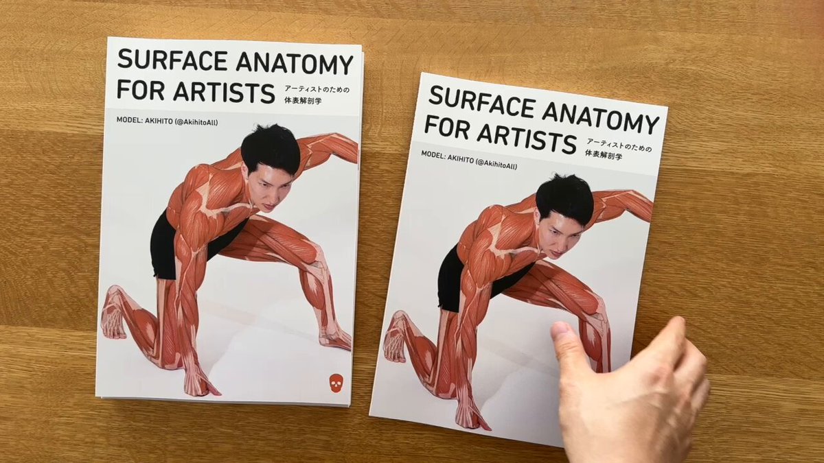 anatomy tutorials on X: 