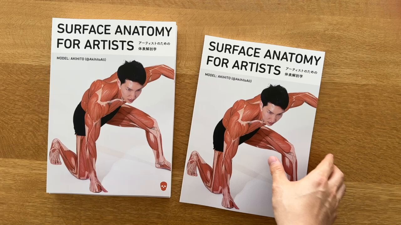 anatomy tutorials on X: 