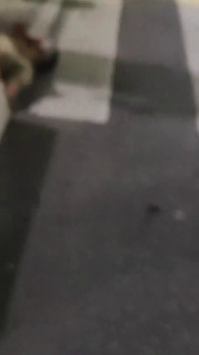 Video by @whyyoutouzhele