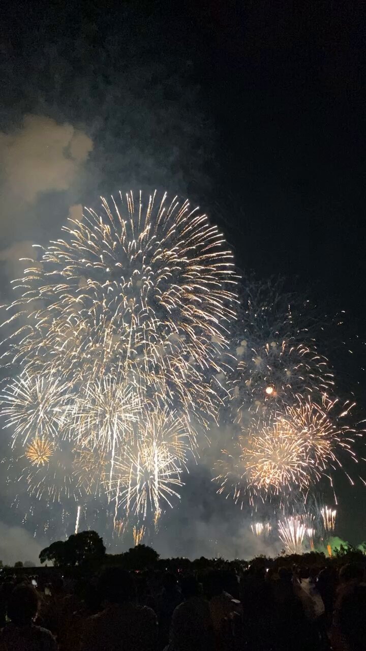 toda_hanabi - অনুসন্ধান / X