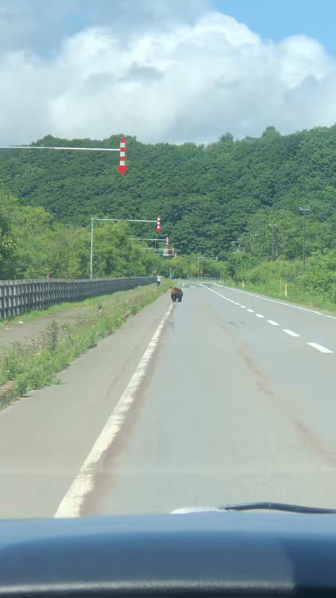 Twitter Image