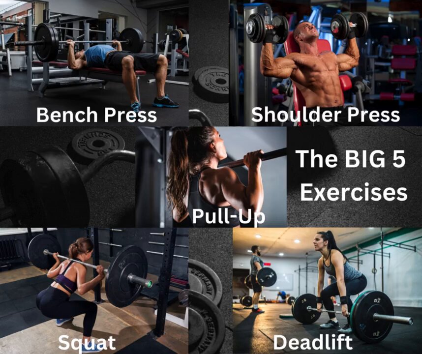 brewfitnessco s video Tweet
