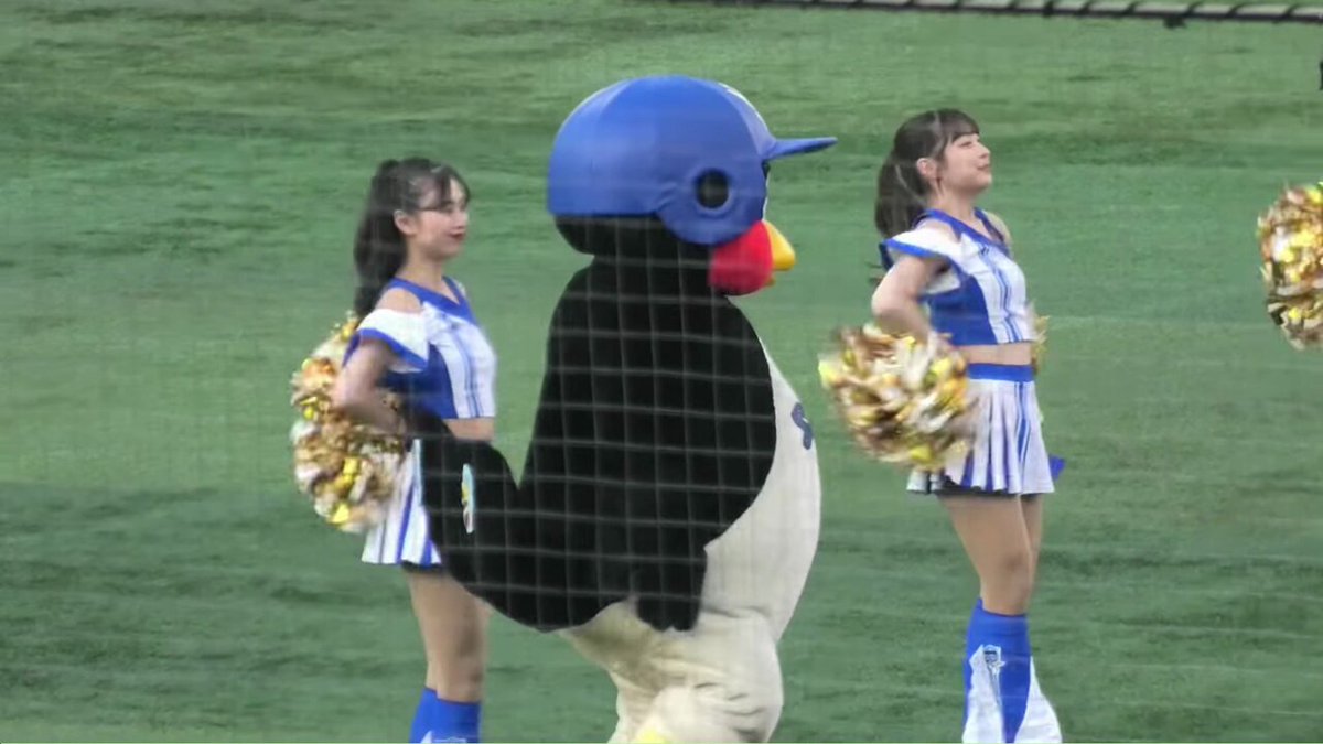 ハイキックチア  / X