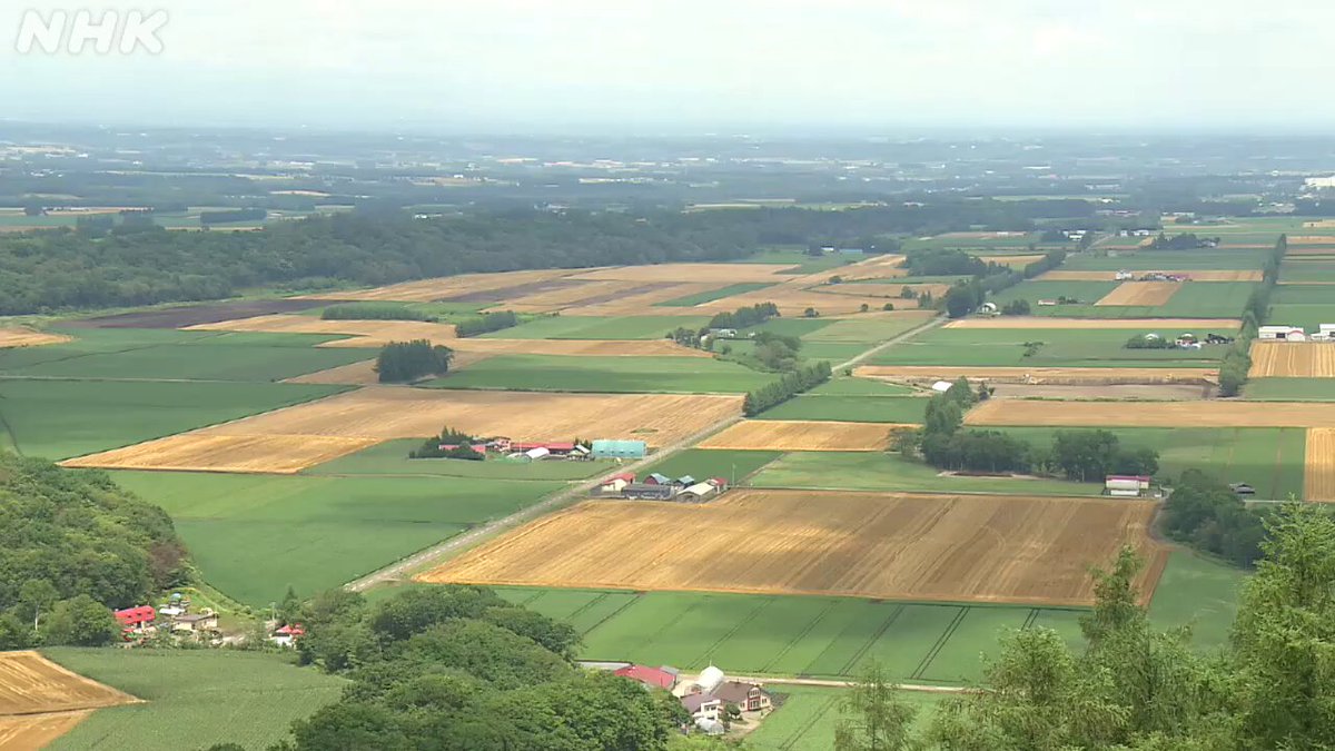 Twitter Image