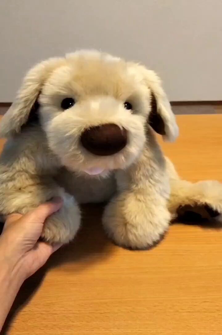 科学工房未來（パトラン） (@R8dE9AT72U7Dn1G) / Posts / X