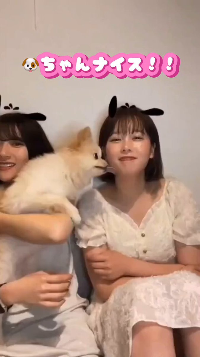 Profil s1ZkvV4COR34255