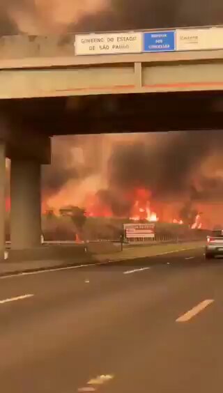 Vídeo incorporado