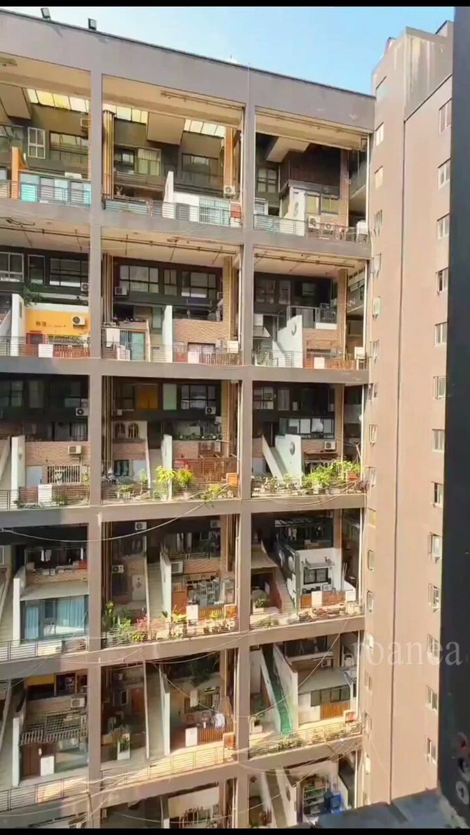 都市木造のヴィジョンと技術 | 腰原 幹雄, 小杉 栄次郎, 山田