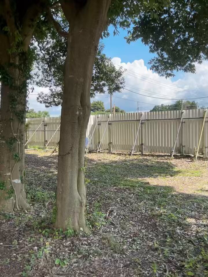 Video oleh @mahironakamura