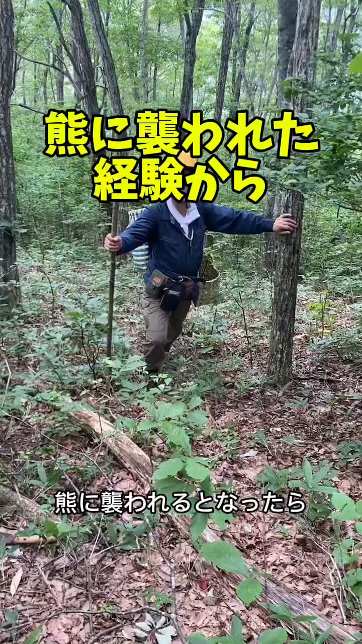 原生林の熊 (@tennen6606) / X