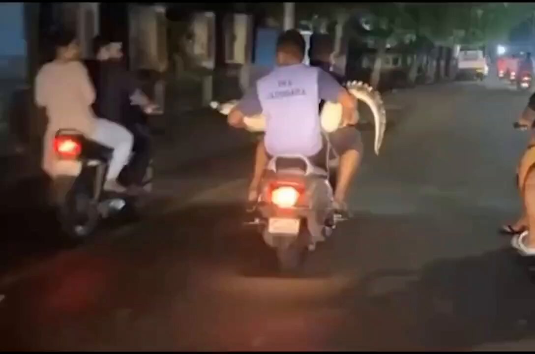 @gharkekalesh's video Tweet