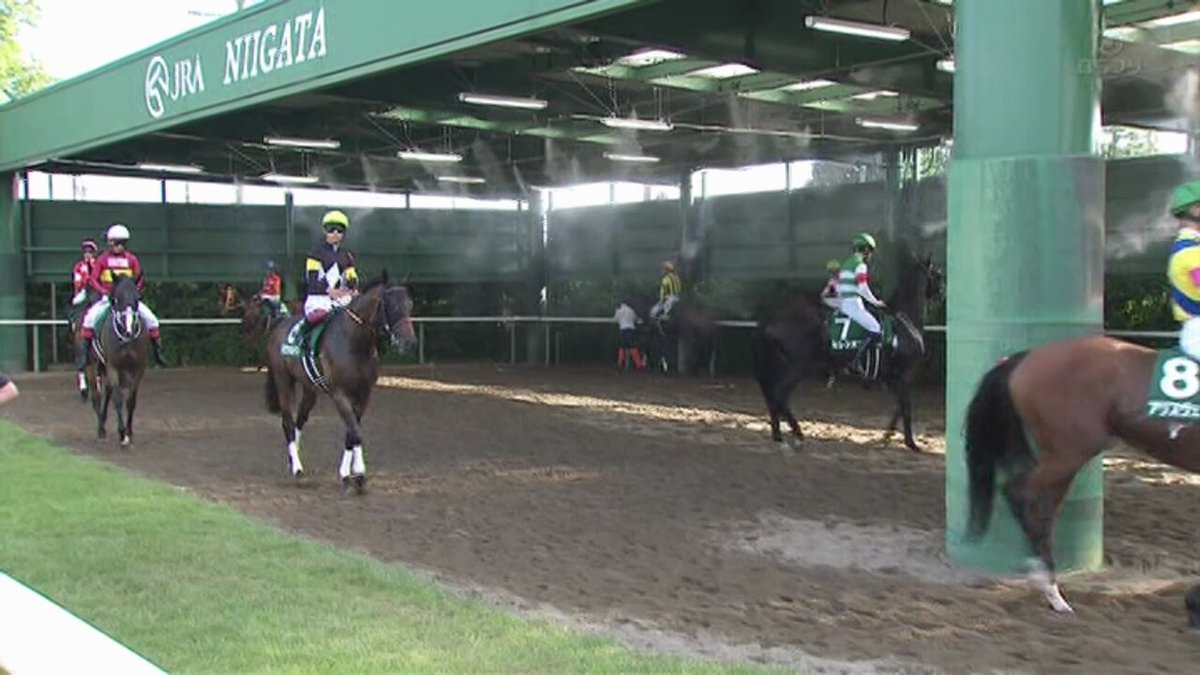 Video by @bakusai_com