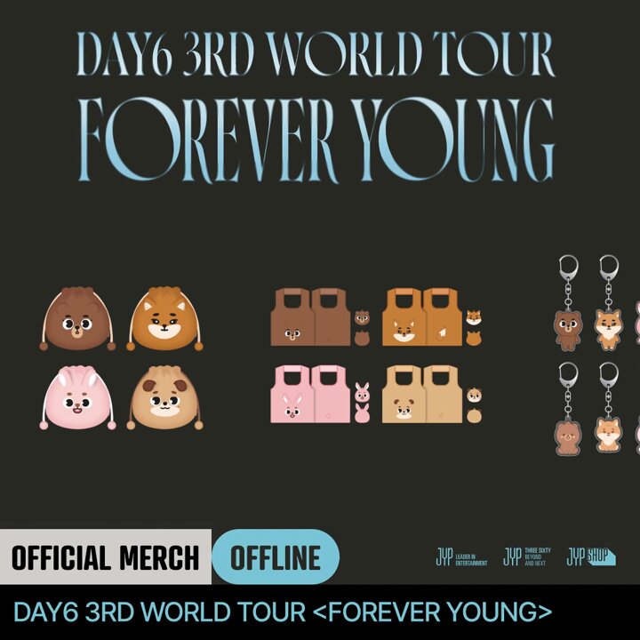 DAY6 FOREVERYOUNG ツアー Tシャツ T-SHIRT【L】 / DAY6『3RD WORLD TOUR ＜FOREVER YOUNG
