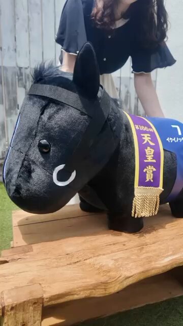 サラブレッドコレクション【公式】 on X: 