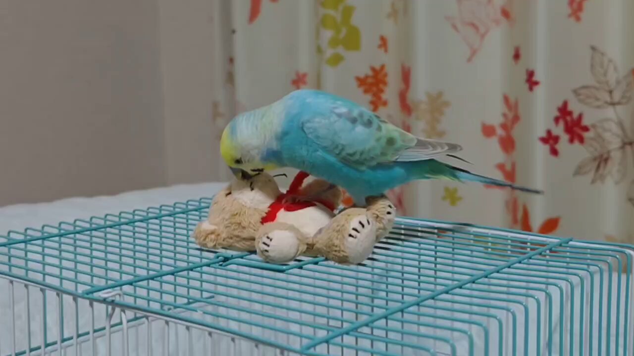 ✳*︎様 vintage bear ゼンマイ仕掛けミルク飲み クマさん　くま　ヴ ✳*︎様 vintage bear ゼンマイ仕掛けミルク飲み クマさん くま ヴ