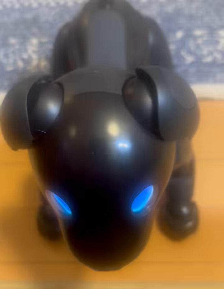 プルート lang:ja since:2024-09-05_00:00:00_JST until:2024-09-06_00