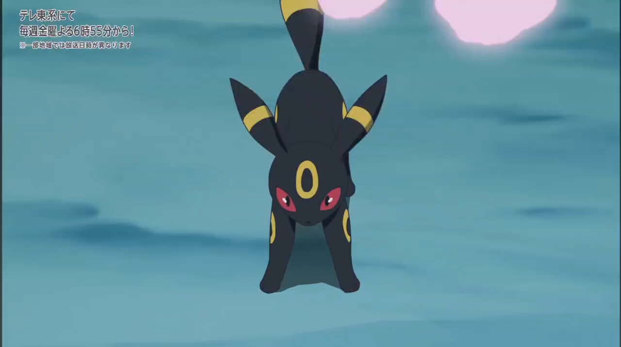 ポケモン - ブラッキー Amazon.co.jp: ポケモンカードゲーム S8b 244/184 ブラッキーV