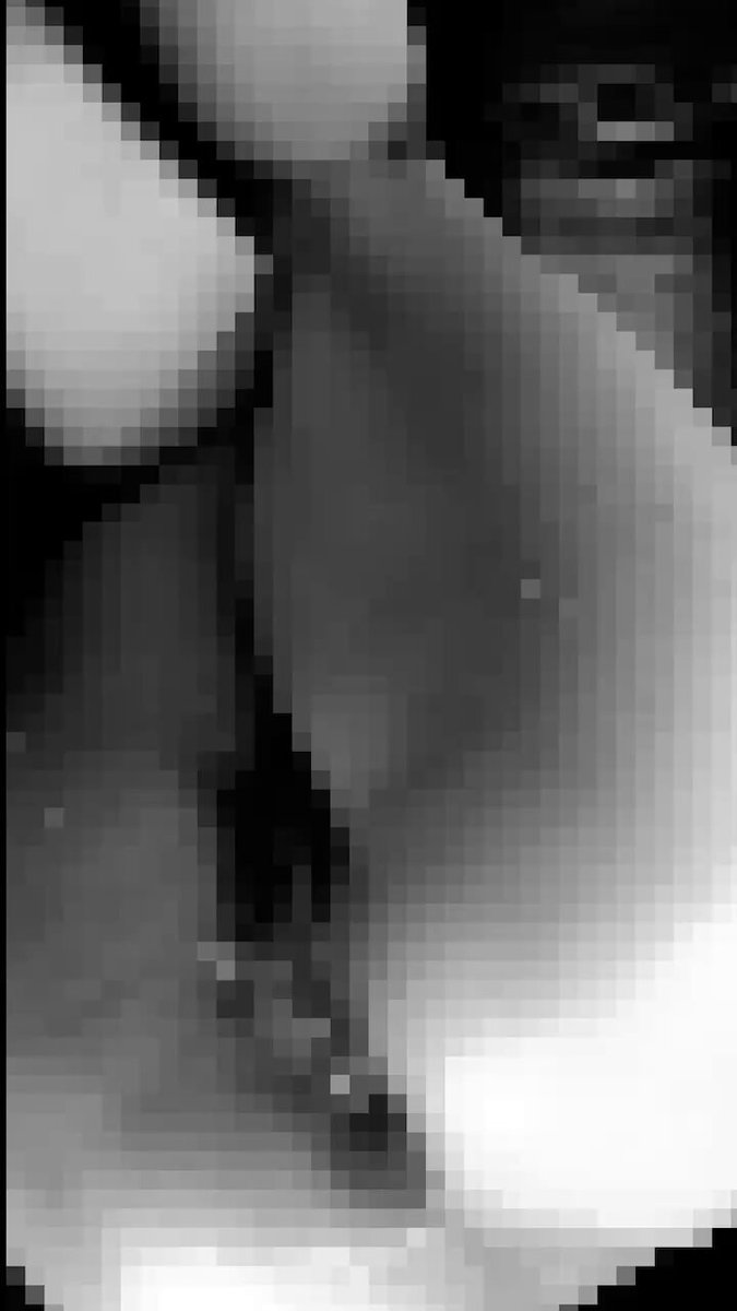 Video by @misaki__water