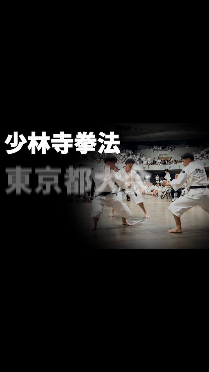 Yahoo!オークション - 少林寺拳法/日本少林寺拳法連盟/第二世宗
