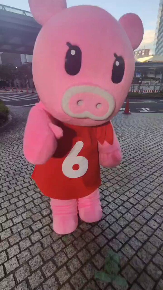 ぶーちゃん4点おまとめ アイビィ on X