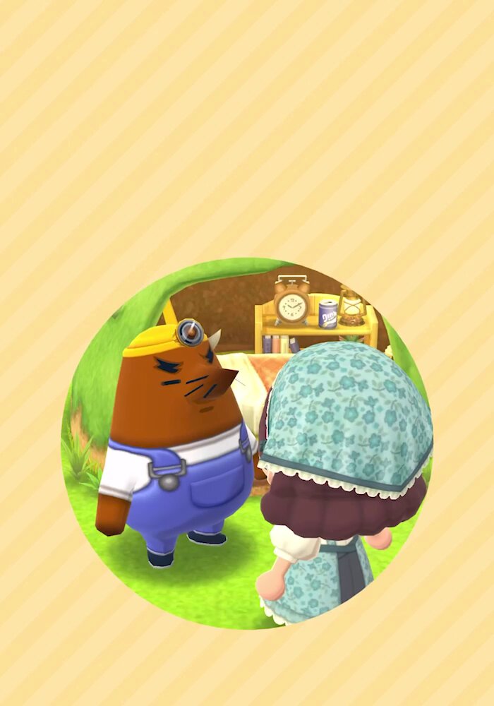 どうぶつの森 ポケットキャンプ コンプリート on X: 