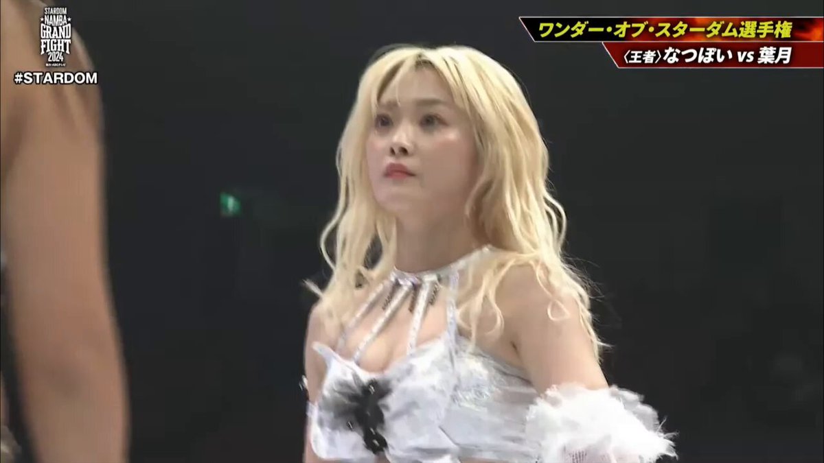 Amazon.co.jp: STARDOM なつぽい 写真集 : おもちゃ
