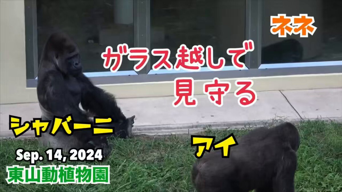 Miki (@mickey44mickey) / Posts / X