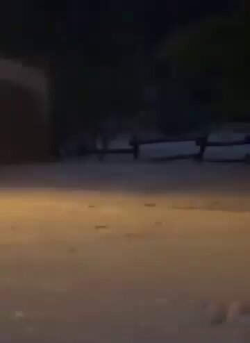 Embedded video