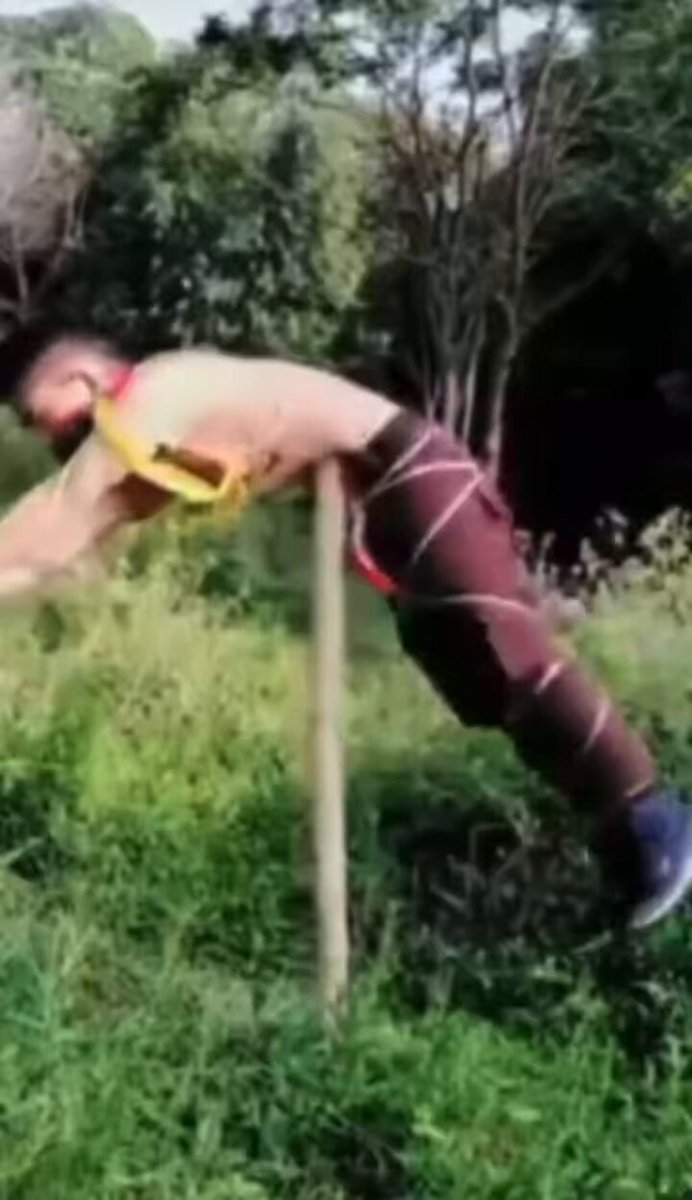 Porno eng katta eshak