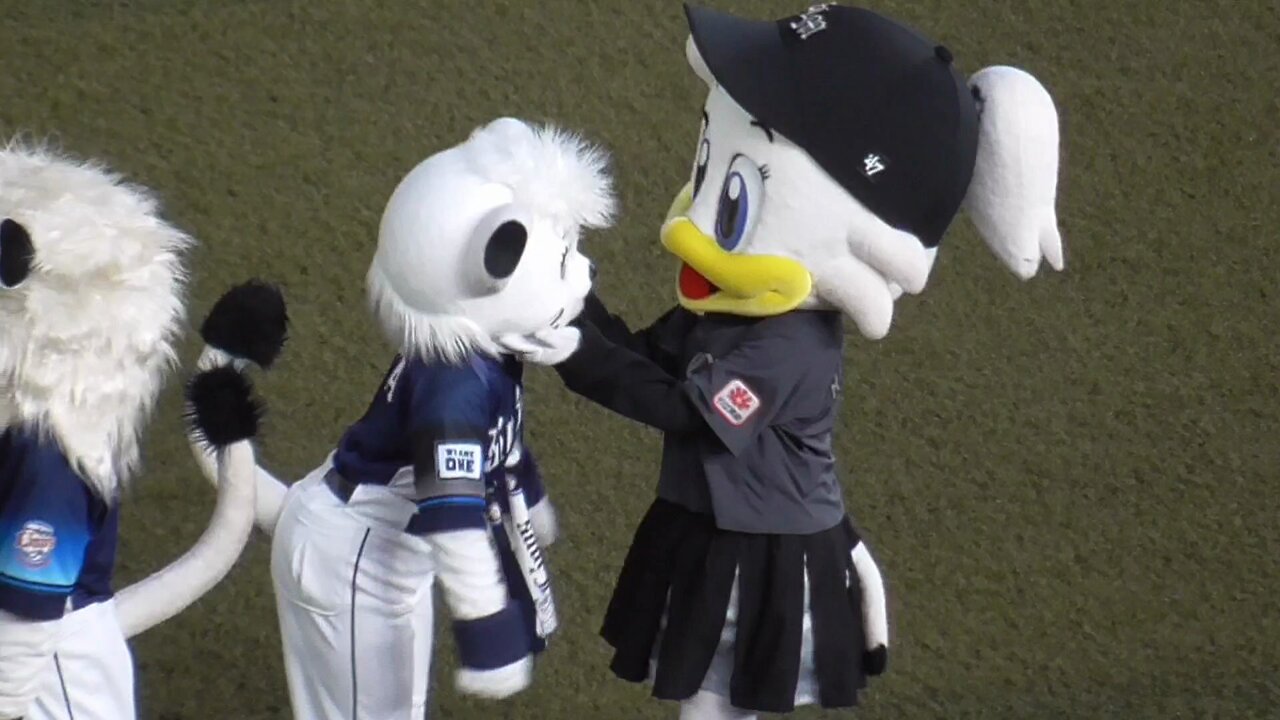 ポリーポラリス コラ 