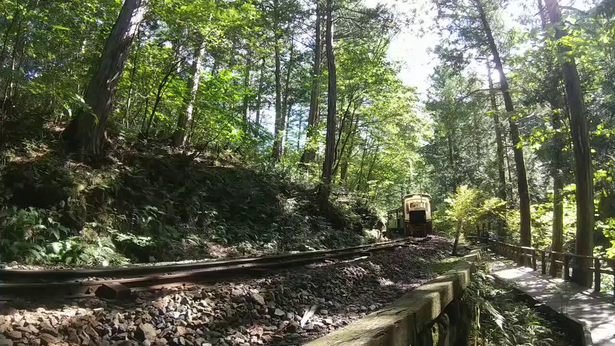 山*ん様 乗工社 JOE WORKS 木曾森林鉄道 HO酒井C4型 1:87 塗