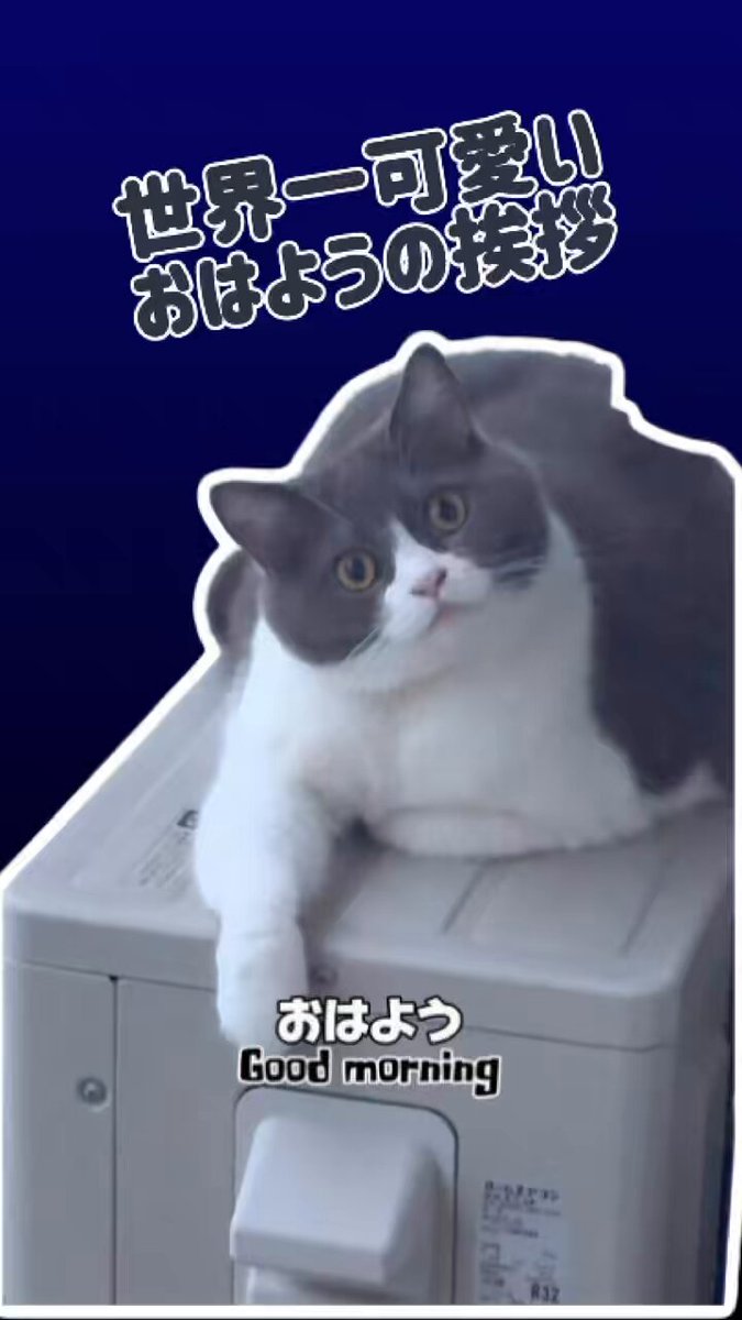 まるです(^^) まるです16。-I am Maru 16.- - YouTube